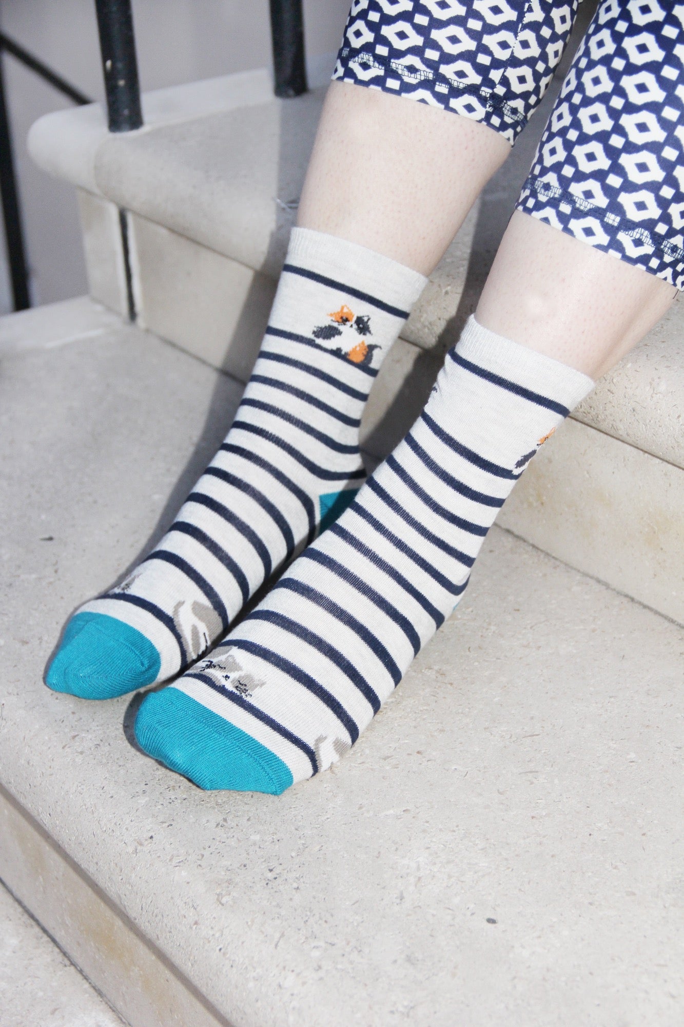 Cats Print Pale Grey Women's Socks