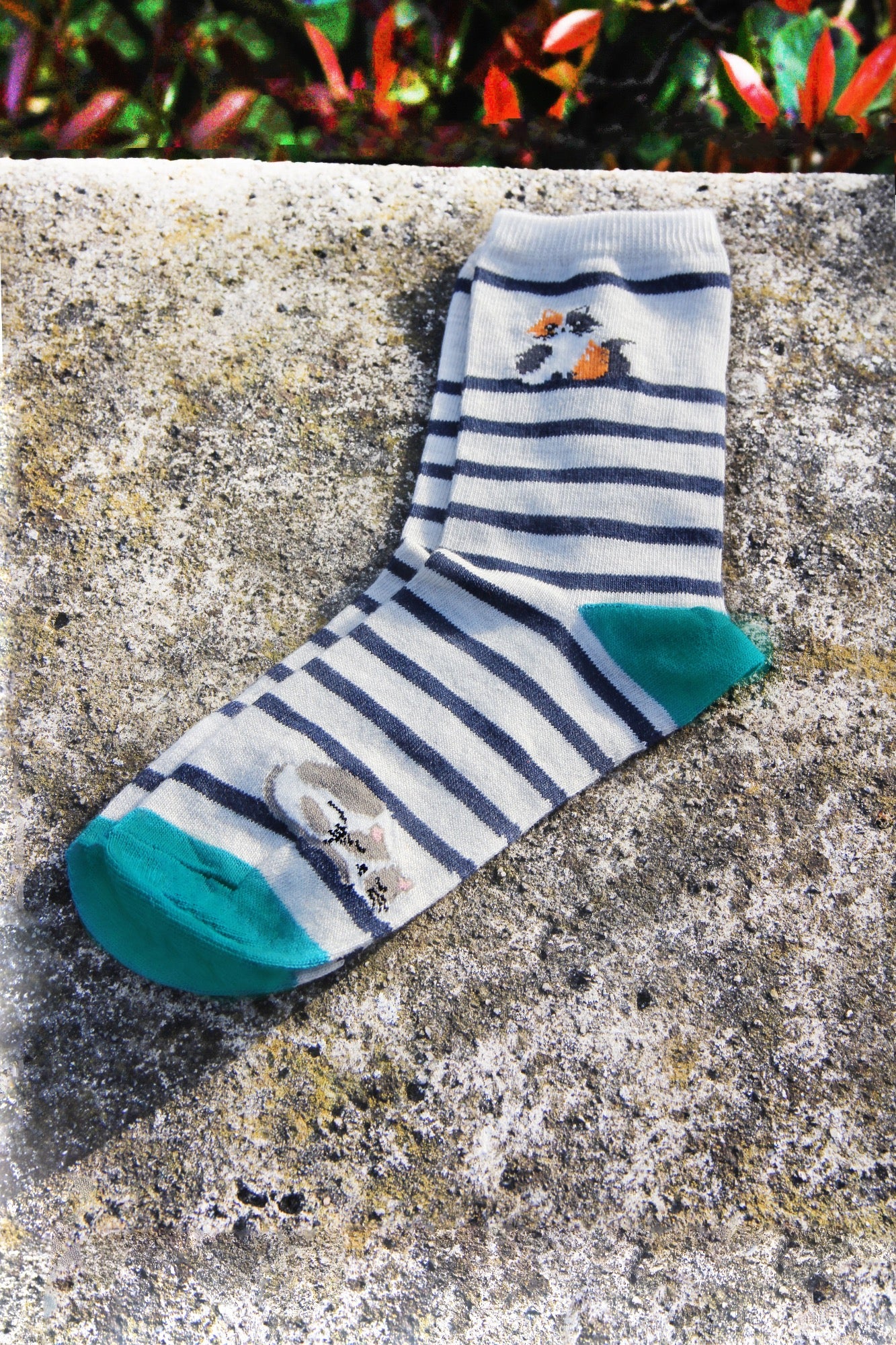 Cats Print Pale Grey Women's Socks