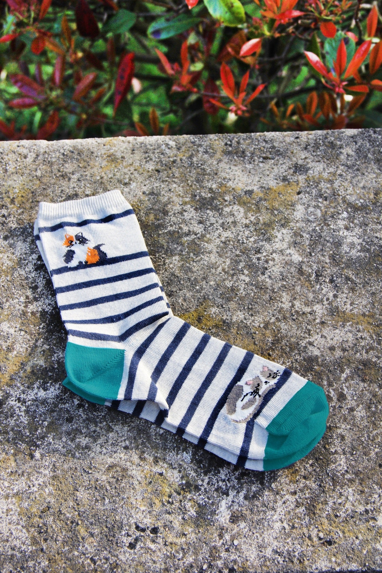 cat print women's socks